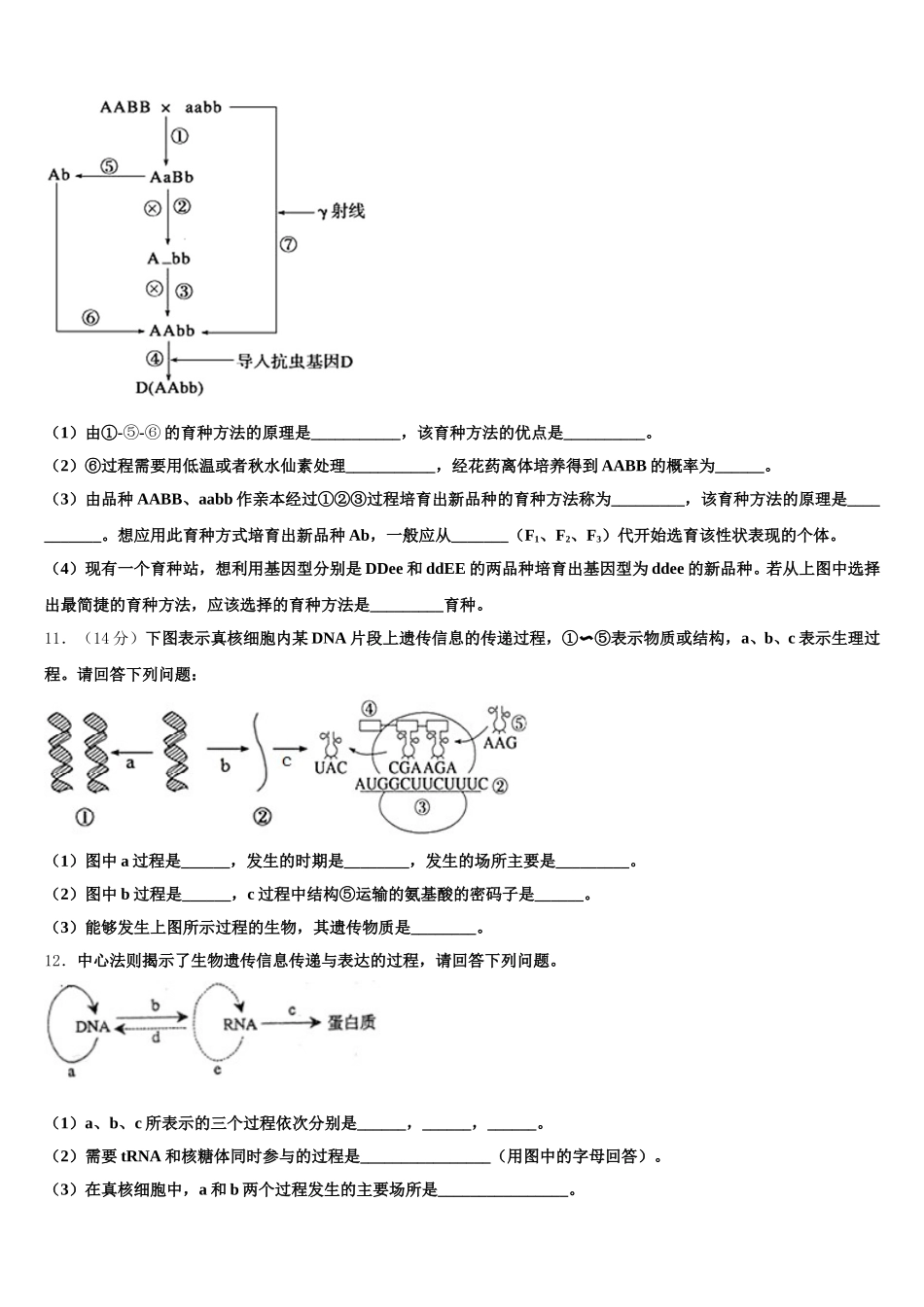 广东省汕头市东厦中学2025届生物高一下期末统考模拟试题含解析_第3页