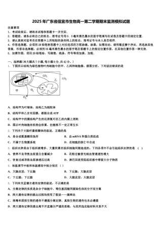 2025年广东省信宜市生物高一第二学期期末监测模拟试题含解析