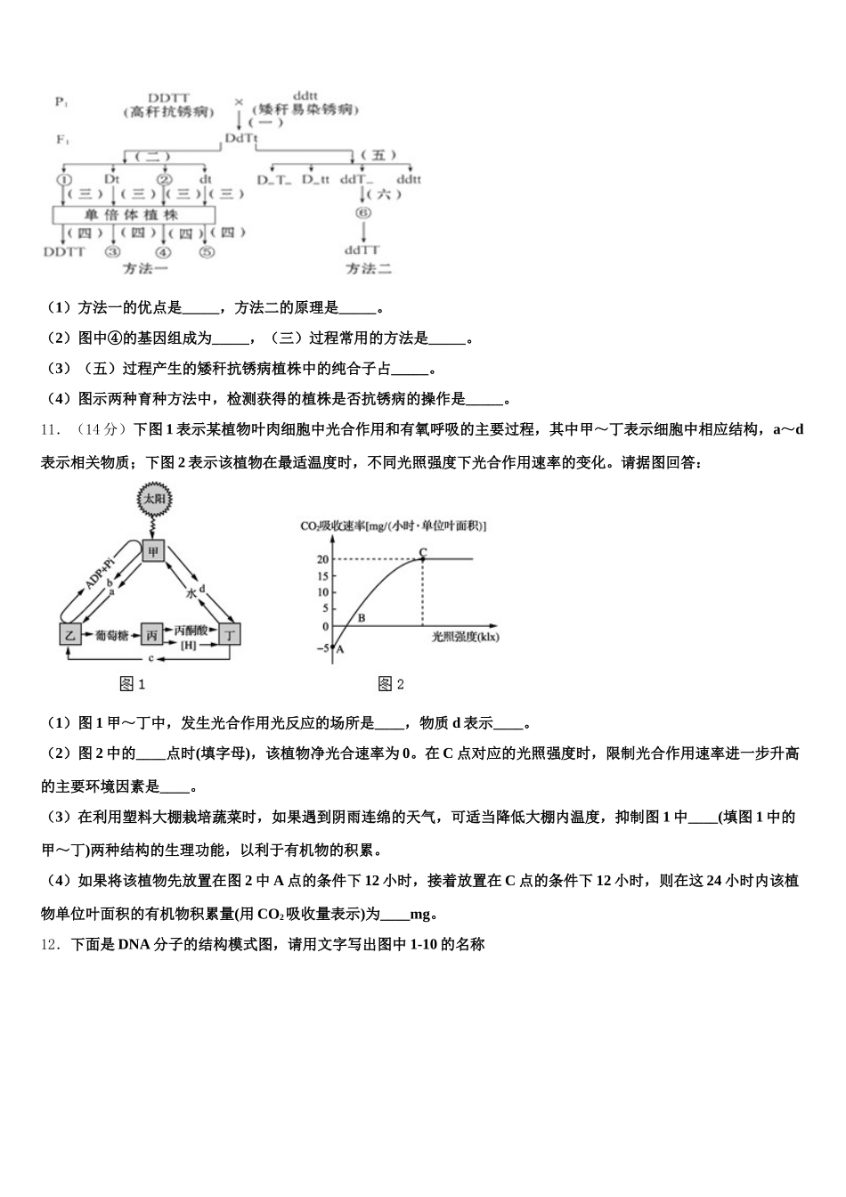 广东省惠州市惠东县惠东荣超中学2025年高一下生物期末达标测试试题含解析_第3页