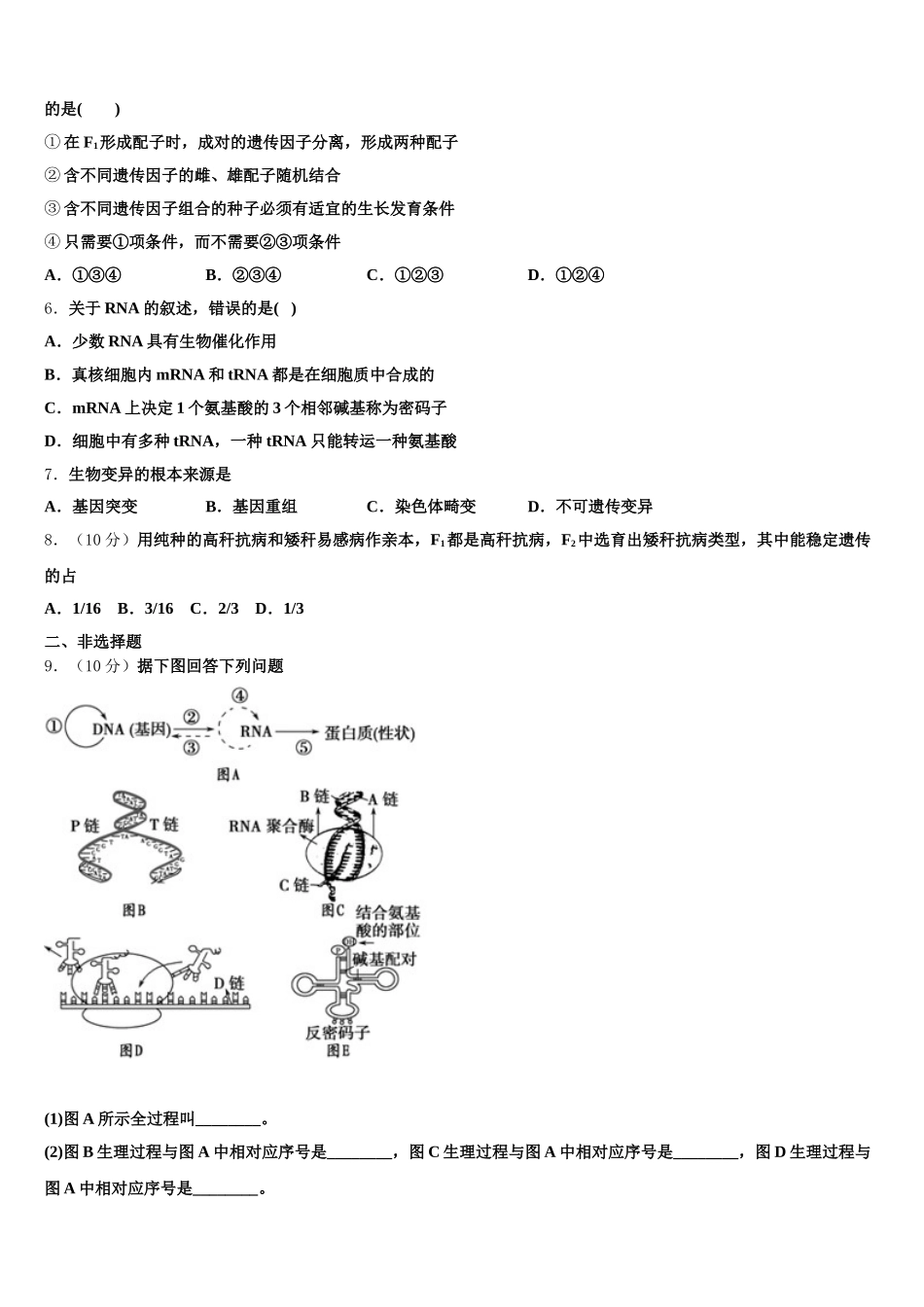 2024-2025学年广东省东莞外国语学校高一下生物期末复习检测模拟试题含解析_第2页