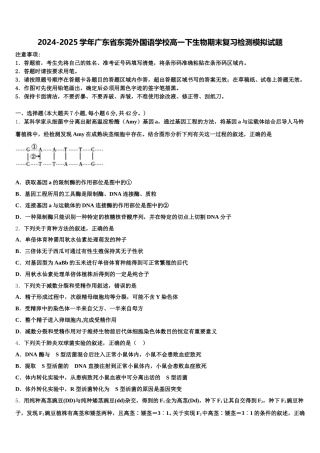 2024-2025学年广东省东莞外国语学校高一下生物期末复习检测模拟试题含解析