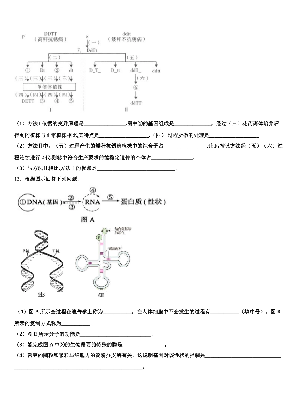 广东省茂名市2025年高一下生物期末质量跟踪监视试题含解析_第3页