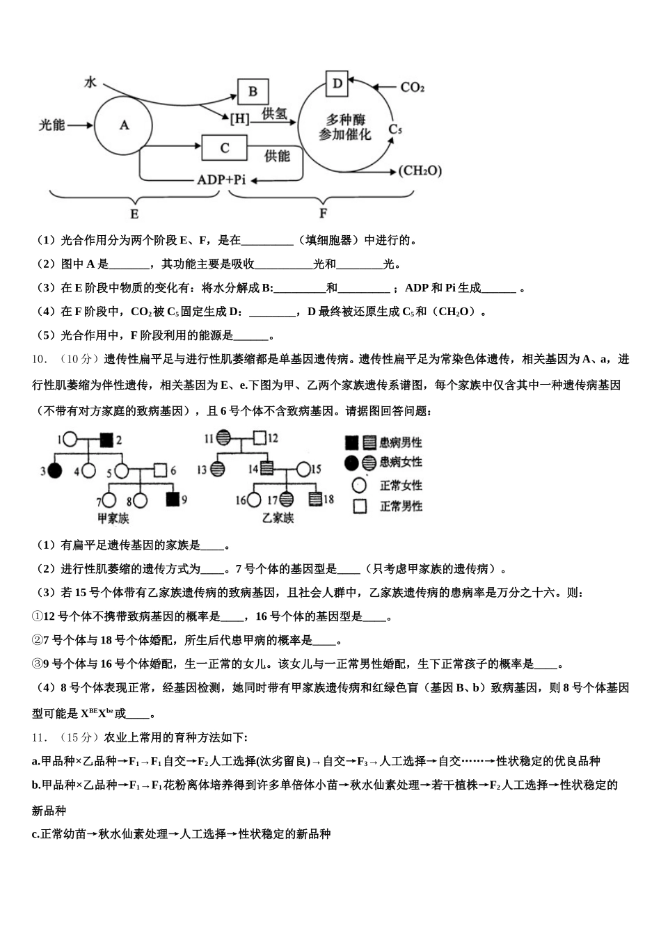 2025年广东省广州市增城区郑中均中学高一生物第二学期期末质量跟踪监视模拟试题含解析_第3页
