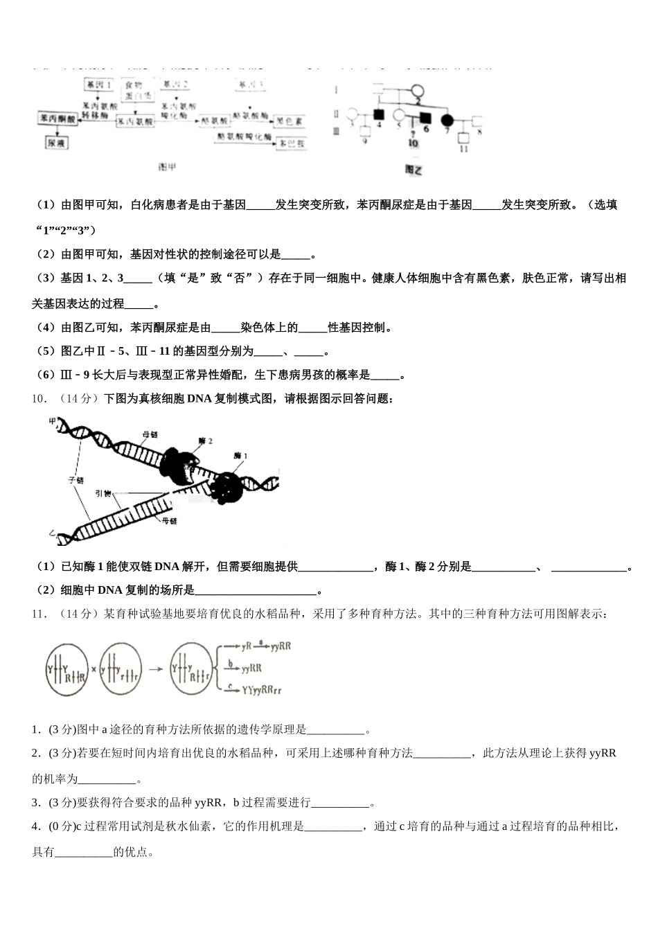 2024-2025学年广东省深圳南头中学生物高一下期末监测试题含解析_第3页