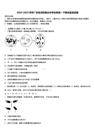 2024-2025学年广东省深圳南头中学生物高一下期末监测试题含解析