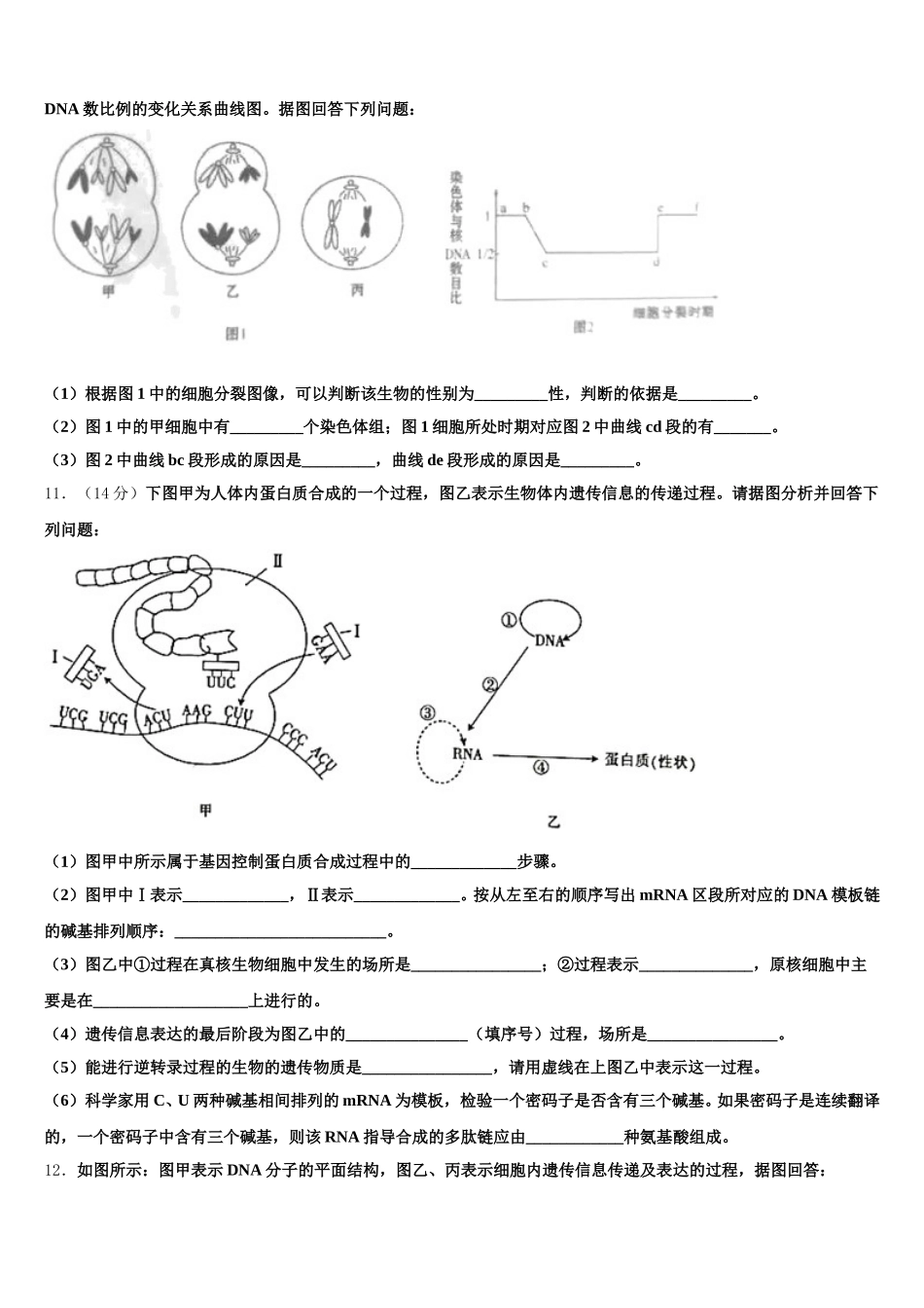 广东省中山市中山纪念中学2024-2025学年生物高一第二学期期末质量跟踪监视模拟试题含解析_第3页