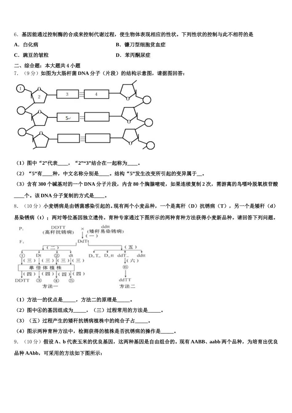 广东省汕头市潮阳区潮师高级中学2025年高一下生物期末考试试题含解析_第2页