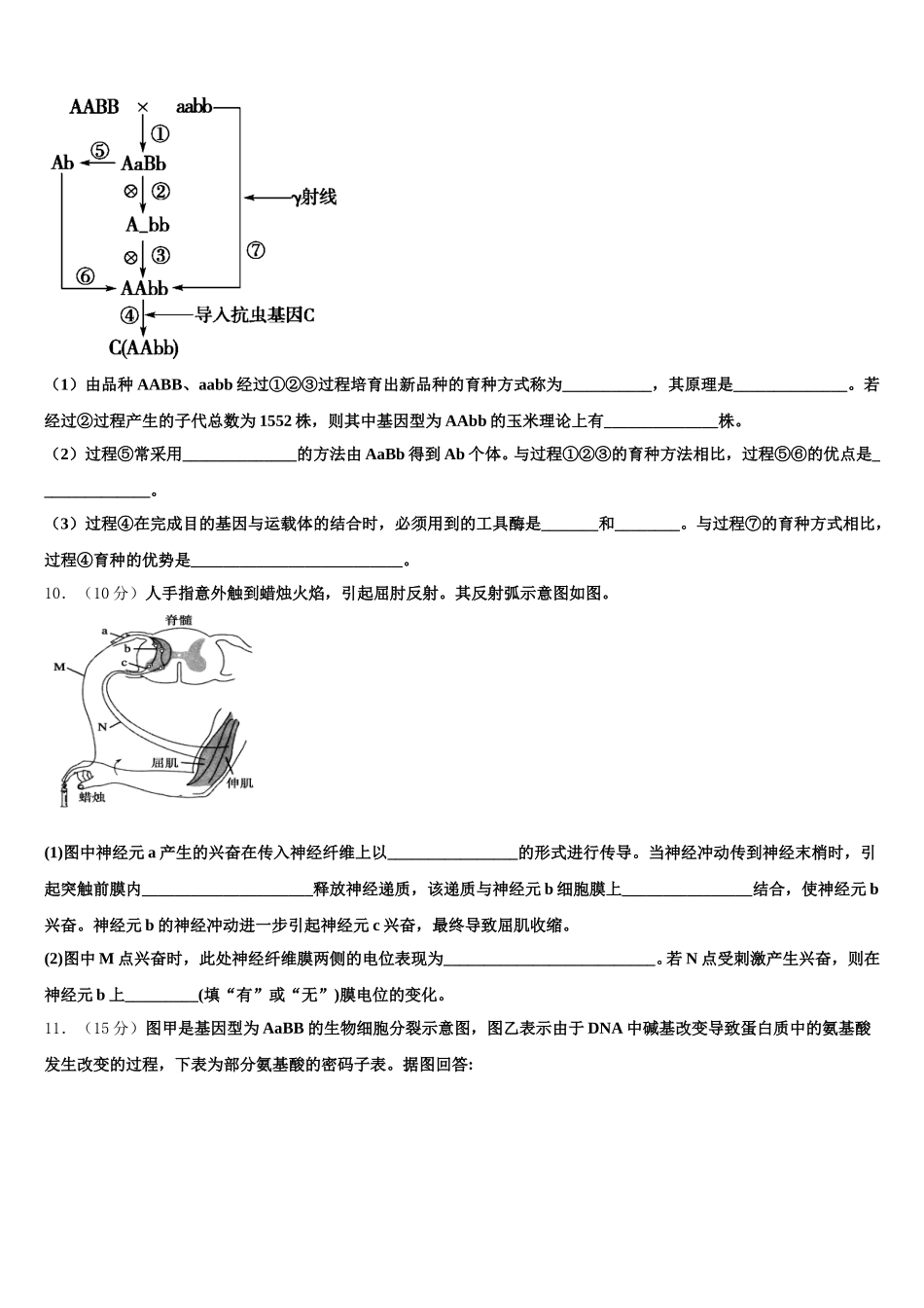 广东省汕头市潮阳区潮师高级中学2025年高一下生物期末考试试题含解析_第3页