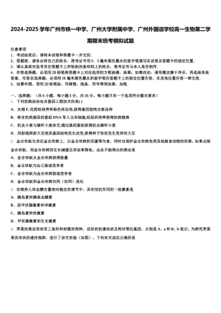 2024-2025学年广州市铁一中学、广州大学附属中学、广州外国语学校高一生物第二学期期末统考模拟试题含解析