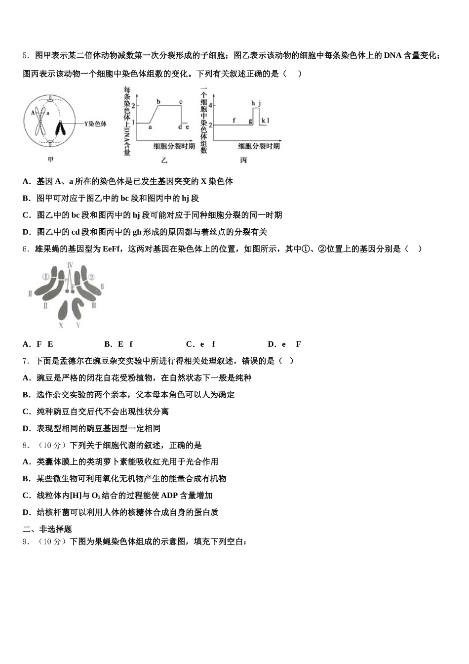 广东省阳春市第一中学2025年生物高一下期末综合测试模拟试题含解析_第2页