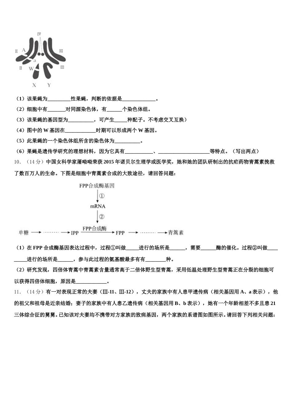 广东省阳春市第一中学2025年生物高一下期末综合测试模拟试题含解析_第3页