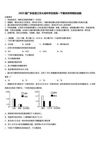 2025届广东省湛江市大成中学生物高一下期末统考模拟试题含解析