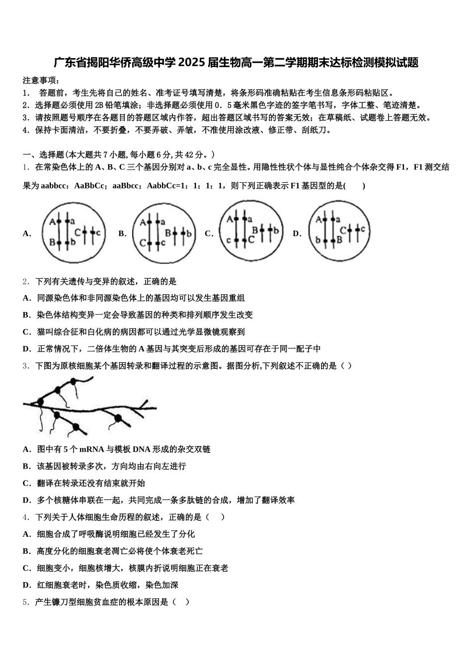 广东省揭阳华侨高级中学2025届生物高一第二学期期末达标检测模拟试题含解析_第1页