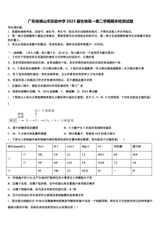 广东省佛山市实验中学2025届生物高一第二学期期末检测试题含解析