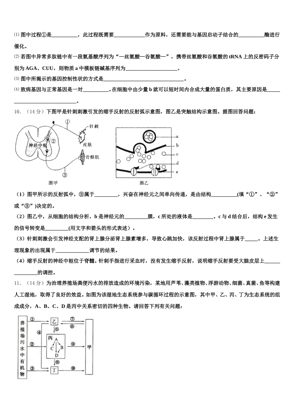 广东省广州市越秀区荔湾区联考2025届高一生物第二学期期末综合测试试题含解析_第3页
