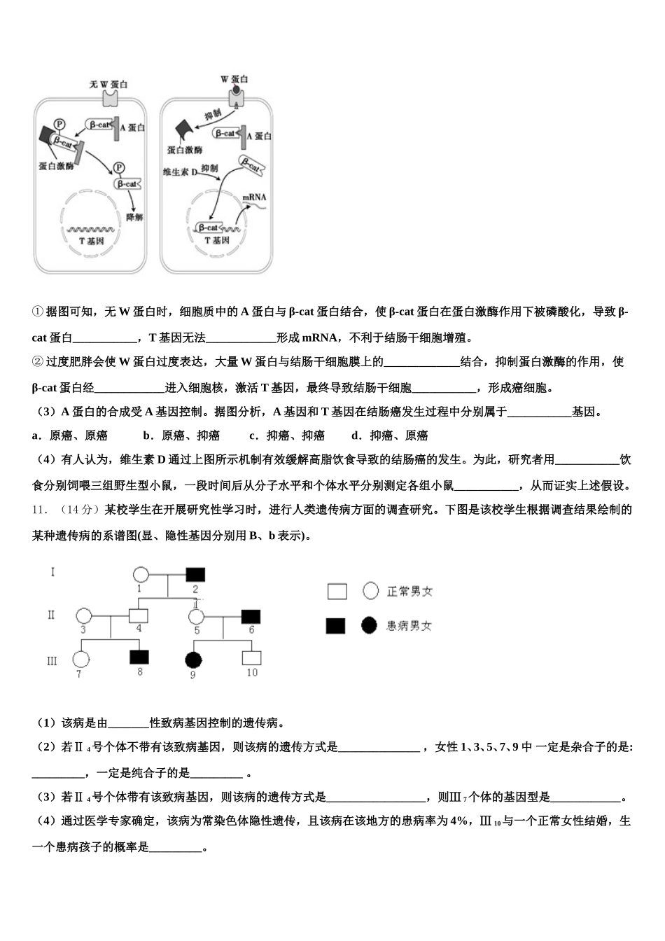 广东省兴宁一中2025届高一生物第二学期期末考试模拟试题含解析_第3页
