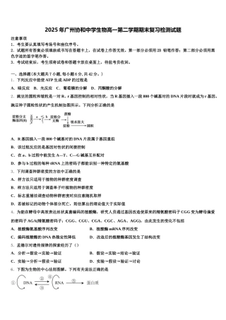 2025年广州协和中学生物高一第二学期期末复习检测试题含解析