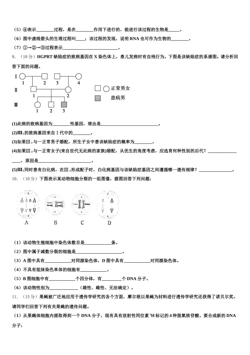 广东省汕头市金中南区学校2025届高一生物第二学期期末综合测试模拟试题含解析_第3页