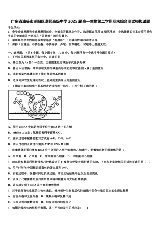广东省汕头市潮阳区潮师高级中学2025届高一生物第二学期期末综合测试模拟试题含解析
