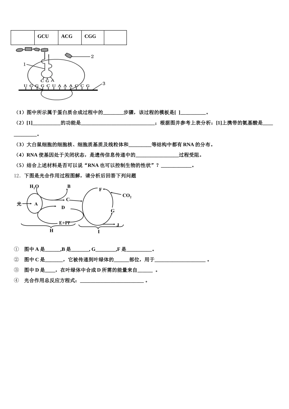 2024-2025学年广东省佛山市华南师范大学附中南海实验高级中学生物高一下期末考试模拟试题含解析_第3页