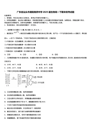 广东省汕头市潮阳南侨中学2025届生物高一下期末统考试题含解析