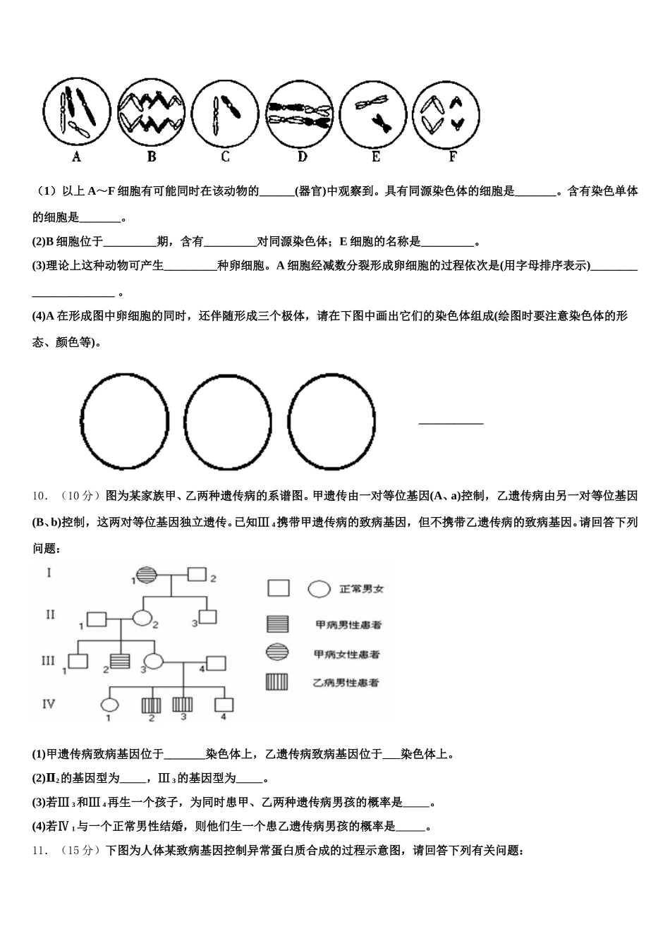 2025届广东省普宁市第一中学生物高一下期末达标检测试题含解析_第3页