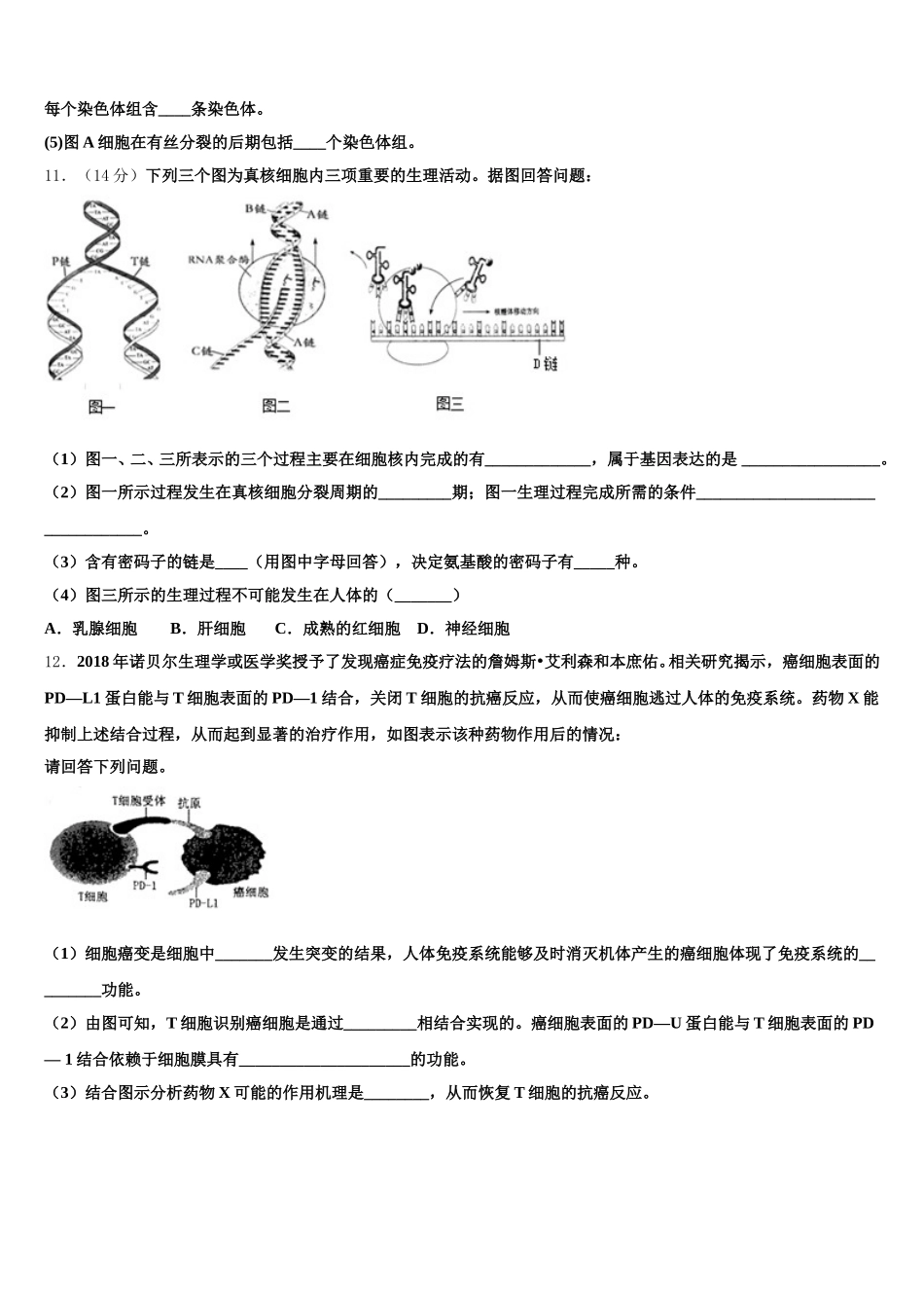 广东广州越秀区培正中学2024-2025学年高一下生物期末预测试题含解析_第3页