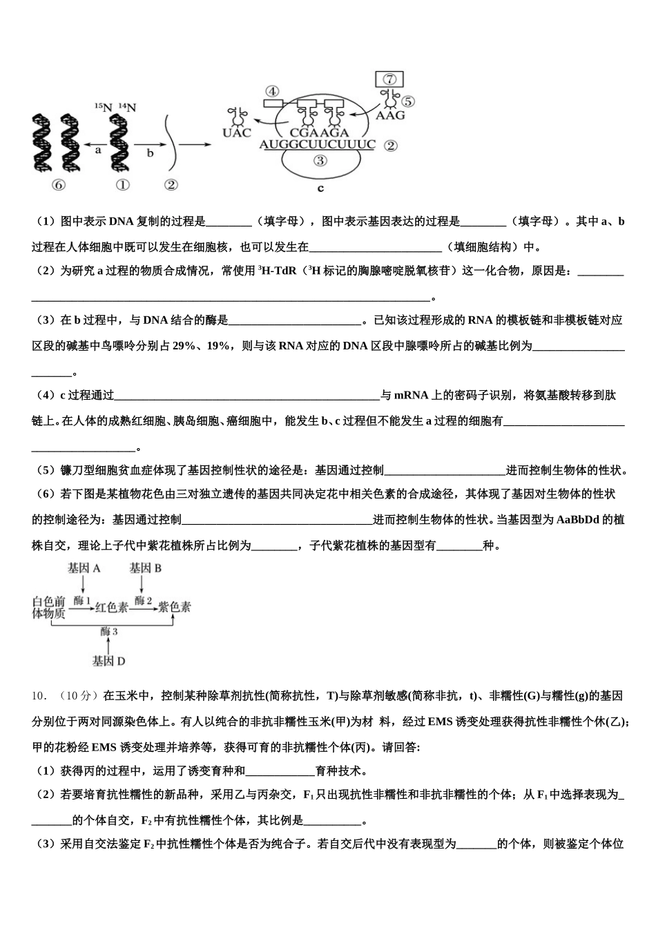2025届广东省新兴县第一中学生物高一下期末预测试题含解析_第3页