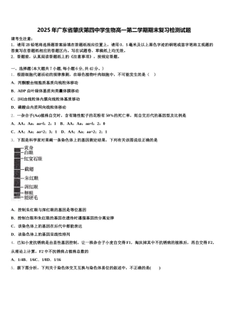 2025年广东省肇庆第四中学生物高一第二学期期末复习检测试题含解析