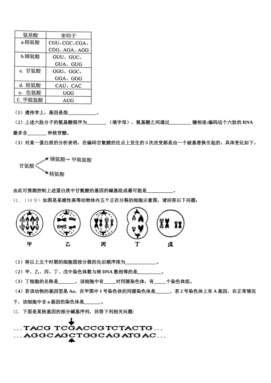 广东省揭阳华侨高级中学2025年生物高一第二学期期末教学质量检测模拟试题含解析_第3页