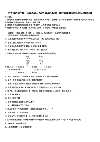 广东省广州市第一中学2024-2025学年生物高一第二学期期末综合测试模拟试题含解析