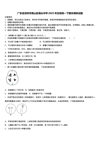 广东省深圳市南山区南头中学2025年生物高一下期末调研试题含解析
