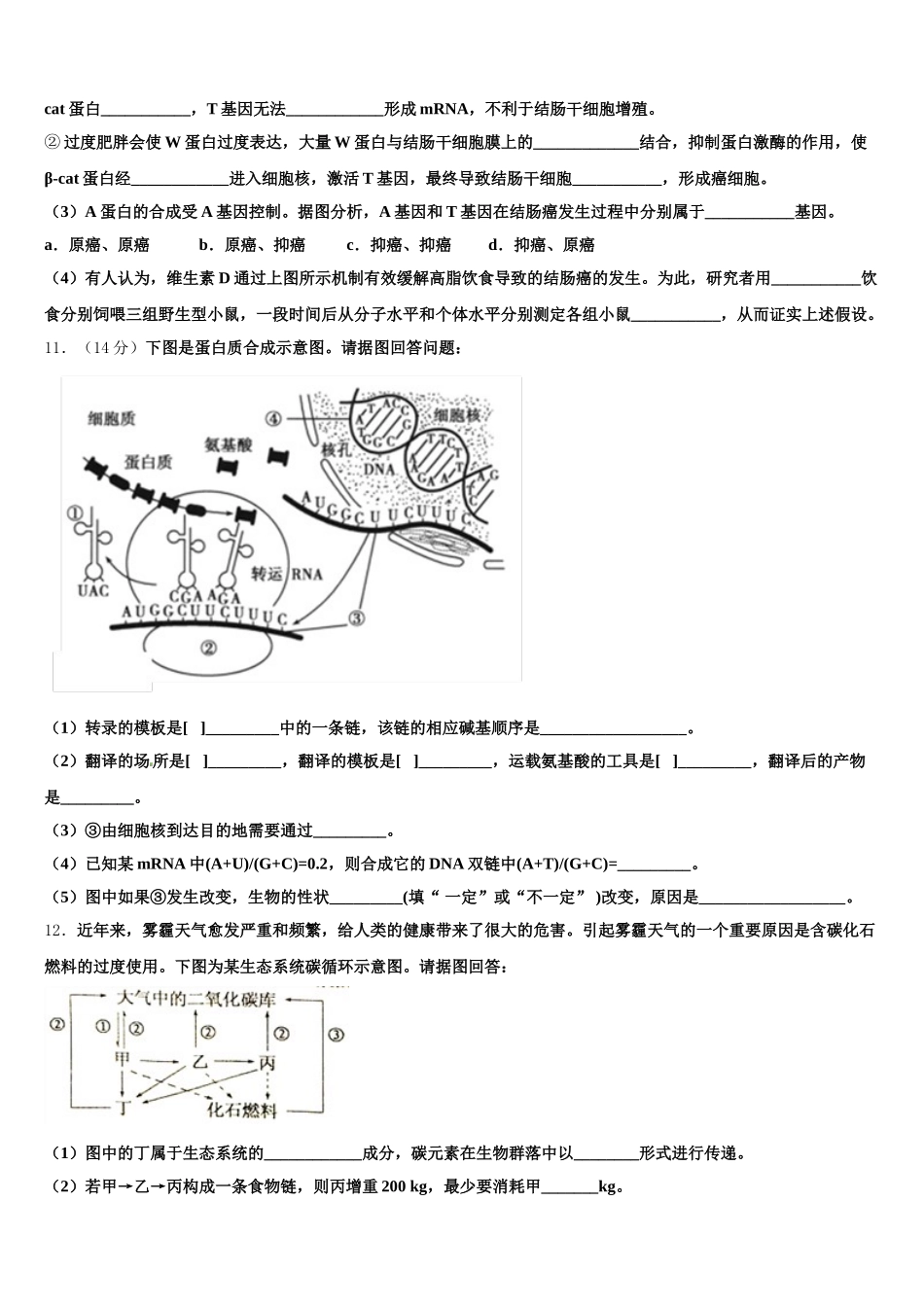 2025年广东省梅县东山中学生物高一下期末复习检测模拟试题含解析_第3页
