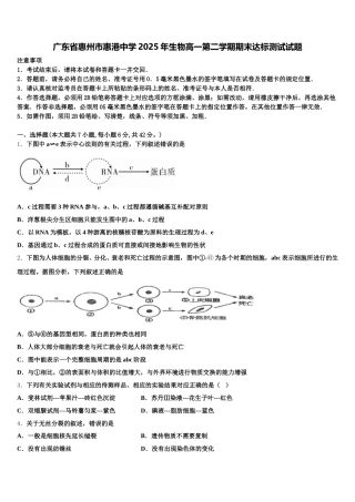广东省惠州市惠港中学2025年生物高一第二学期期末达标测试试题含解析