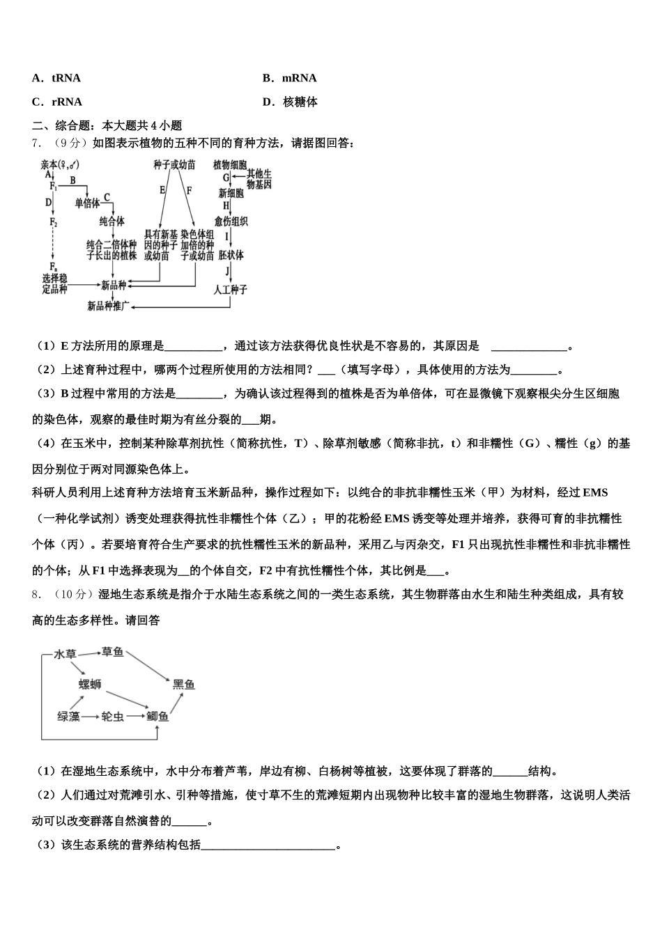 2025年广东省仲元中学等七校联合体生物高一下期末经典试题含解析_第2页