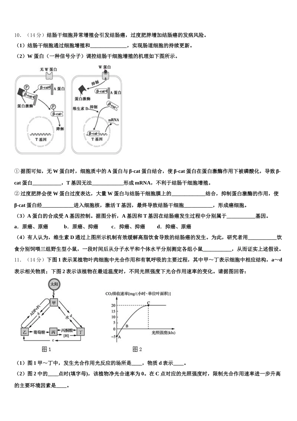 广东省广州市培正中学2024-2025学年高一下生物期末达标检测试题含解析_第3页