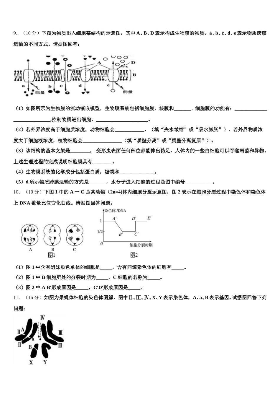 广东省华南师范大学附属中学2025年高一下生物期末经典试题含解析_第3页