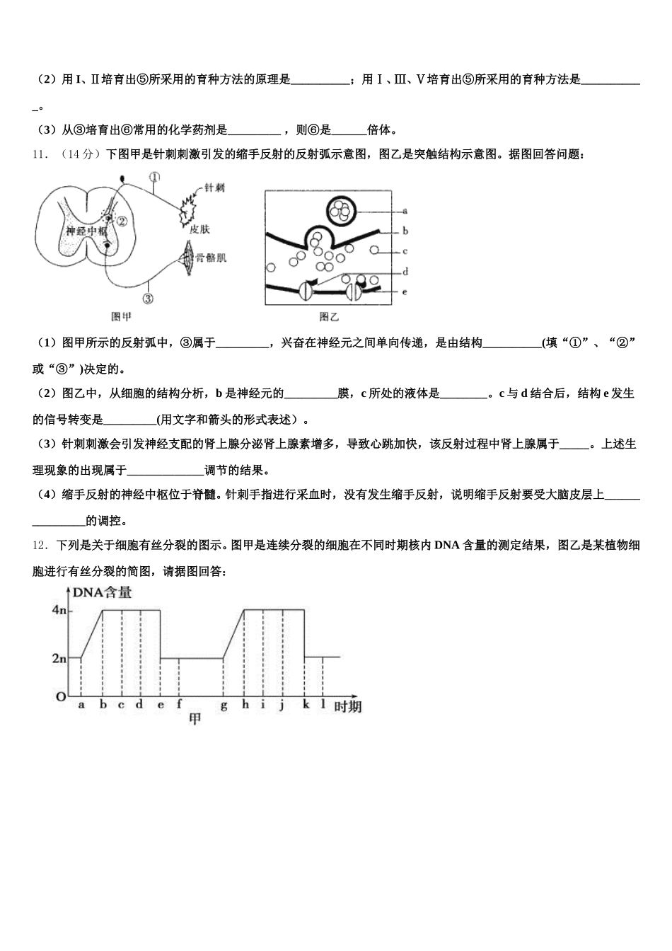 2024-2025学年广东省广州市华南师大附属中学生物高一第二学期期末综合测试试题含解析_第3页