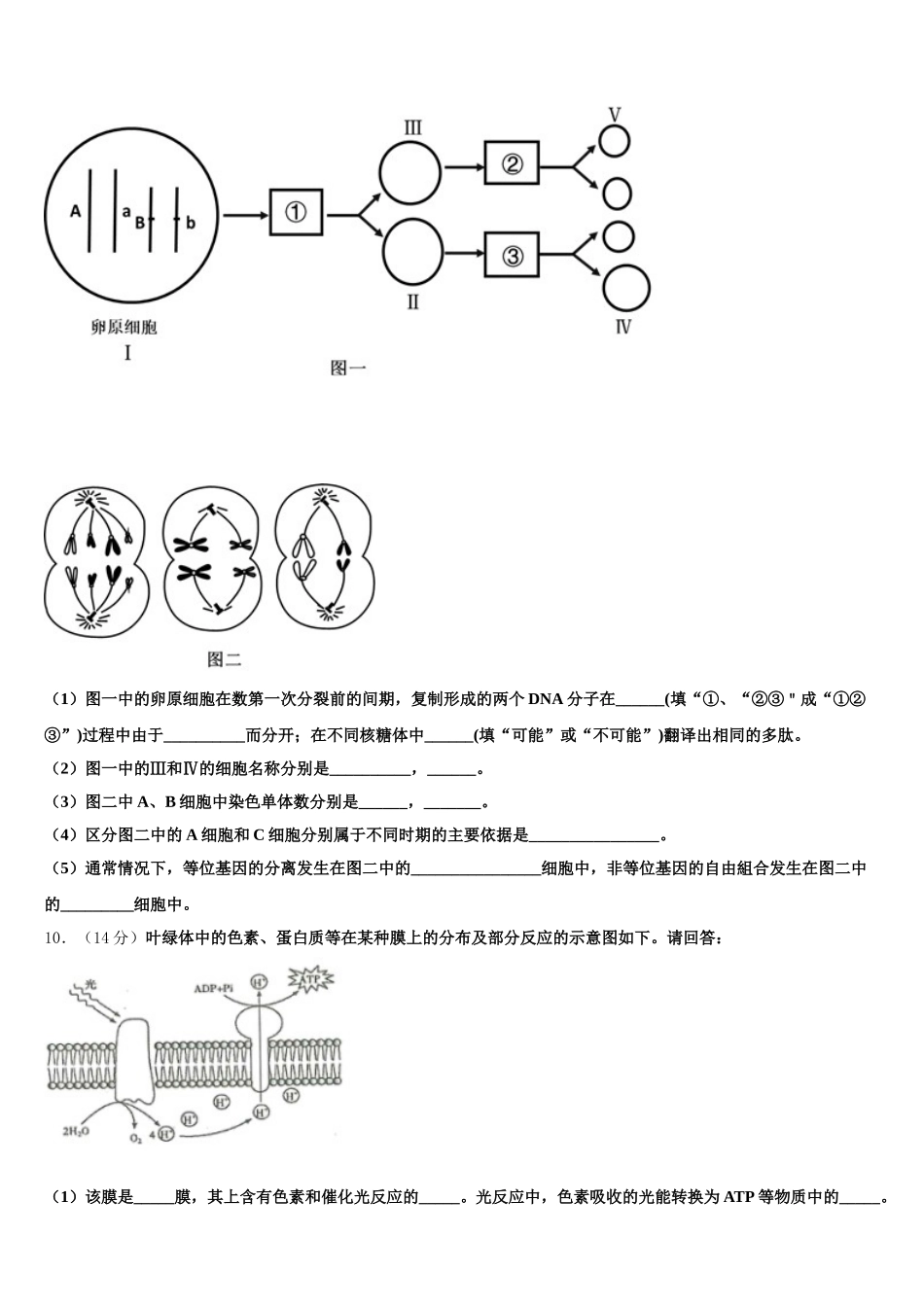 2025年广东省清远市阳山县阳山中学生物高一第二学期期末统考试题含解析_第3页