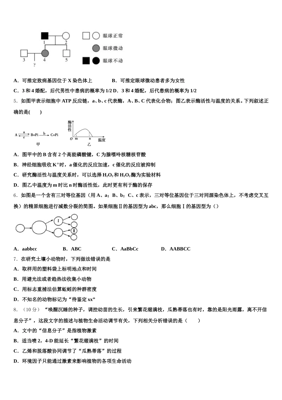 广东省汕头市濠江区金山中学2025届生物高一第二学期期末教学质量检测试题含解析_第2页