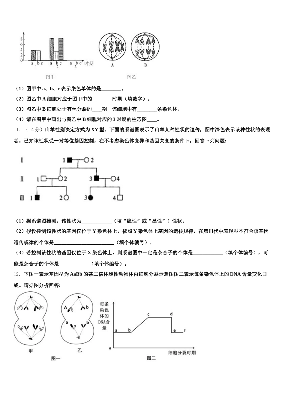 2025届广东省揭阳普宁市高一下生物期末学业质量监测模拟试题含解析_第3页