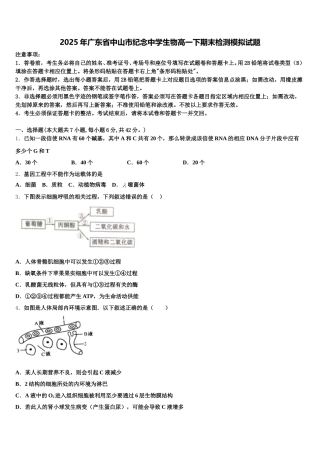 2025年广东省中山市纪念中学生物高一下期末检测模拟试题含解析