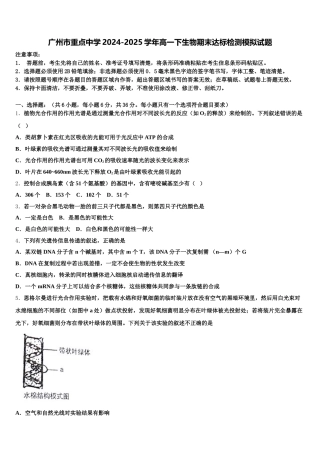 广州市重点中学2024-2025学年高一下生物期末达标检测模拟试题含解析