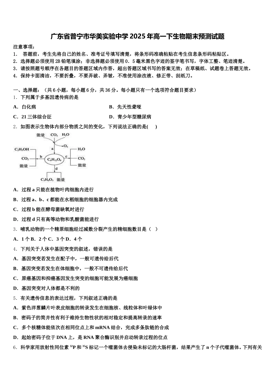 广东省普宁市华美实验中学2025年高一下生物期末预测试题含解析_第1页