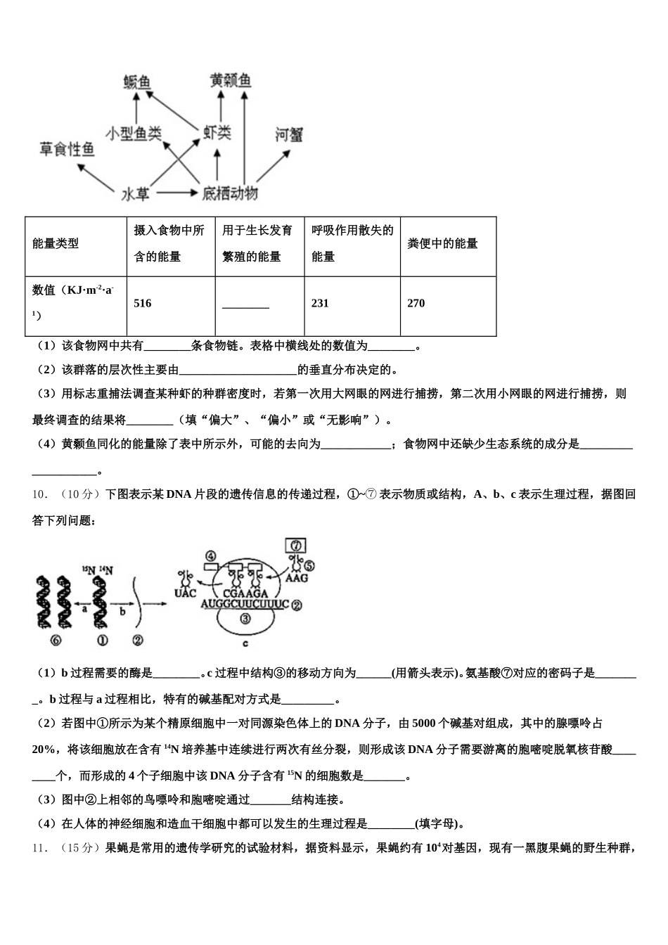 广东省普宁市华美实验中学2025年高一下生物期末预测试题含解析_第3页