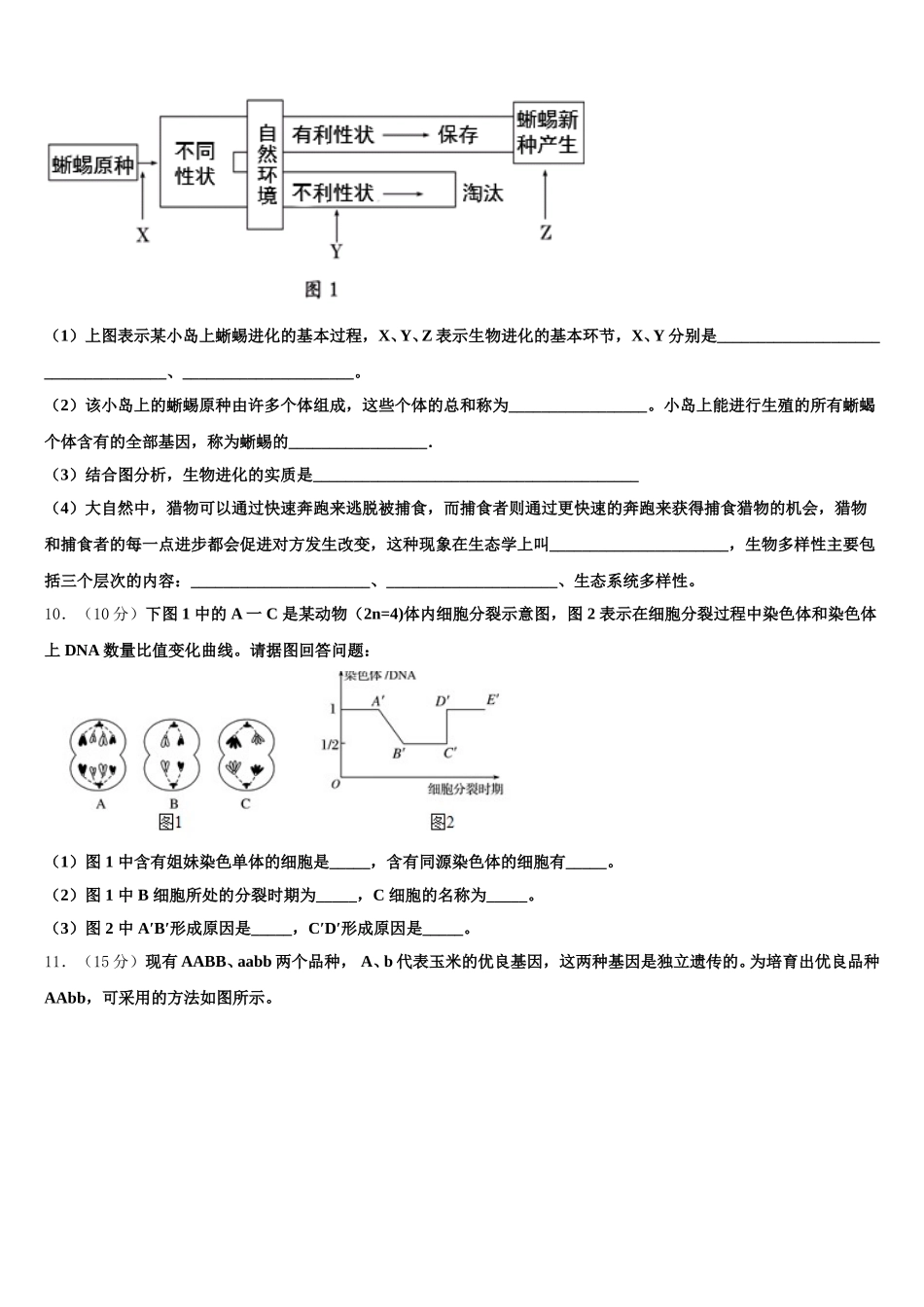 广东省深圳市福田区耀华实验学校国际班2025届生物高一下期末监测模拟试题含解析_第3页