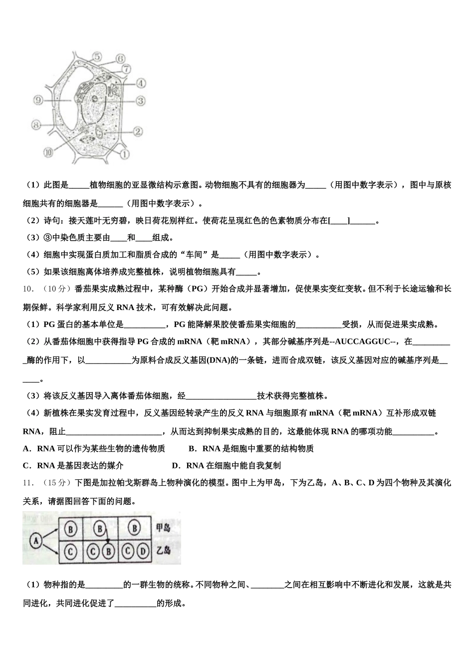 2024-2025学年广东省汕头市潮师高级中学生物高一下期末学业质量监测试题含解析_第3页