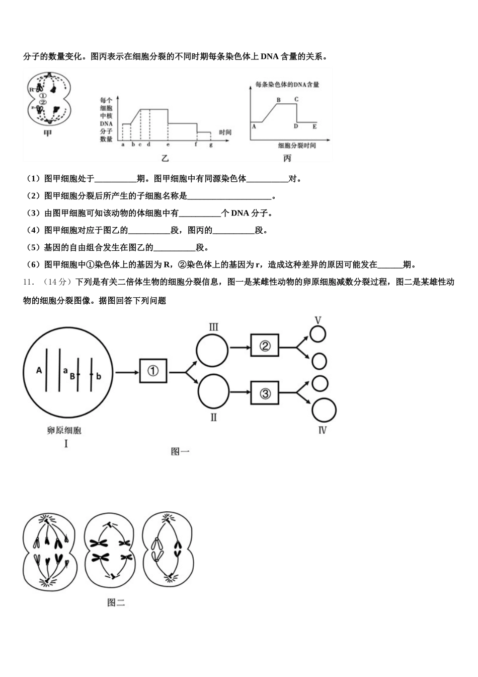 广东省卓识教育深圳实验部2024-2025学年高一生物第二学期期末综合测试试题含解析_第3页