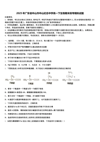 2025年广东省中山市中山纪念中学高一下生物期末统考模拟试题含解析