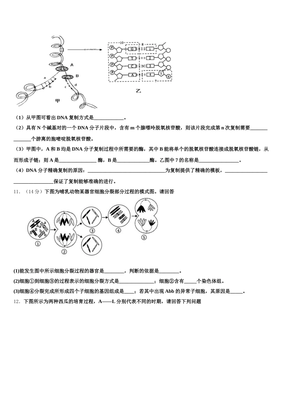 2025年广东省佛山市普通高中高一生物第二学期期末质量跟踪监视模拟试题含解析_第3页
